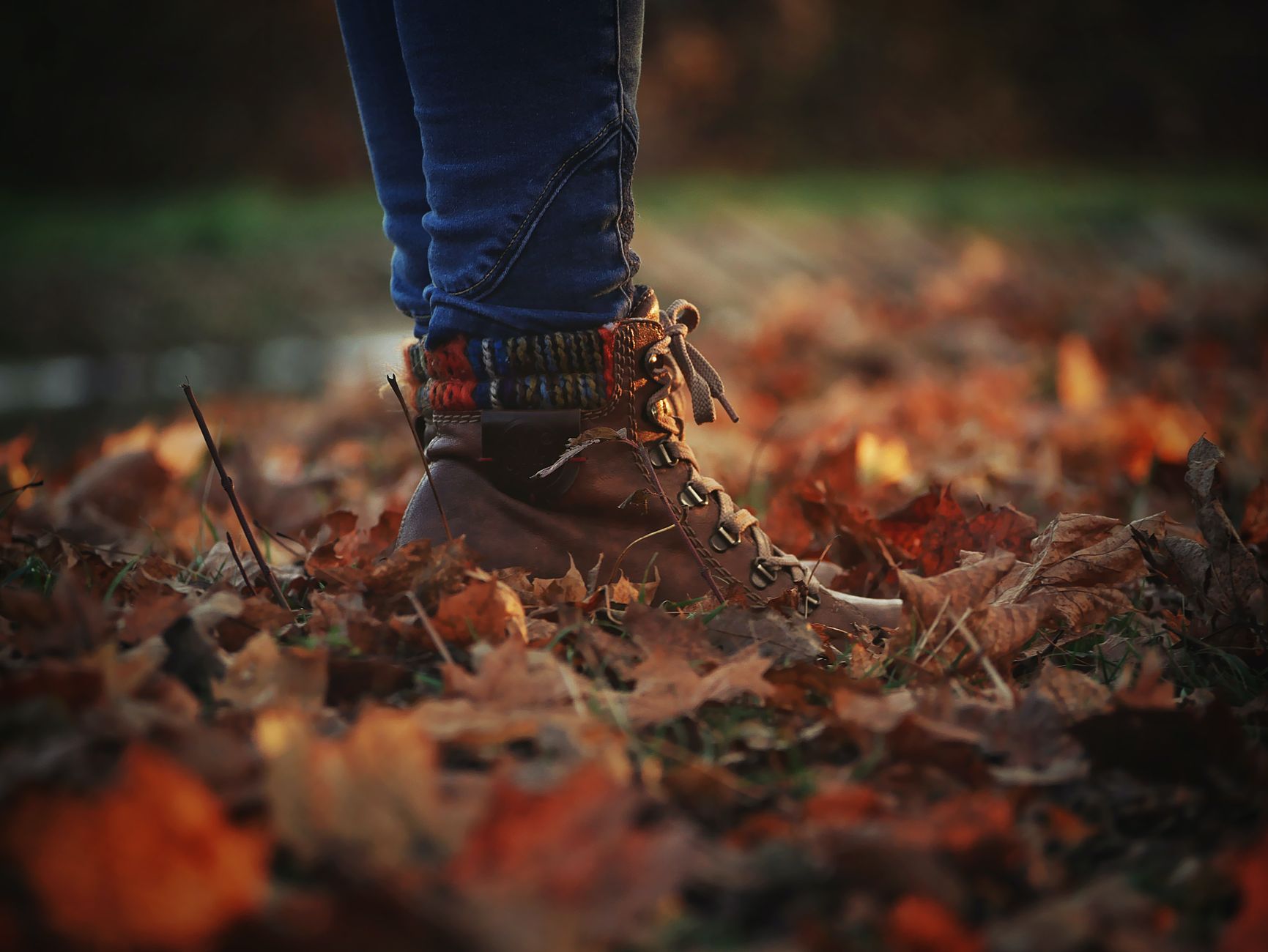 Close-up of leather boots on dry autumn leaves, highlighting fall fashion.