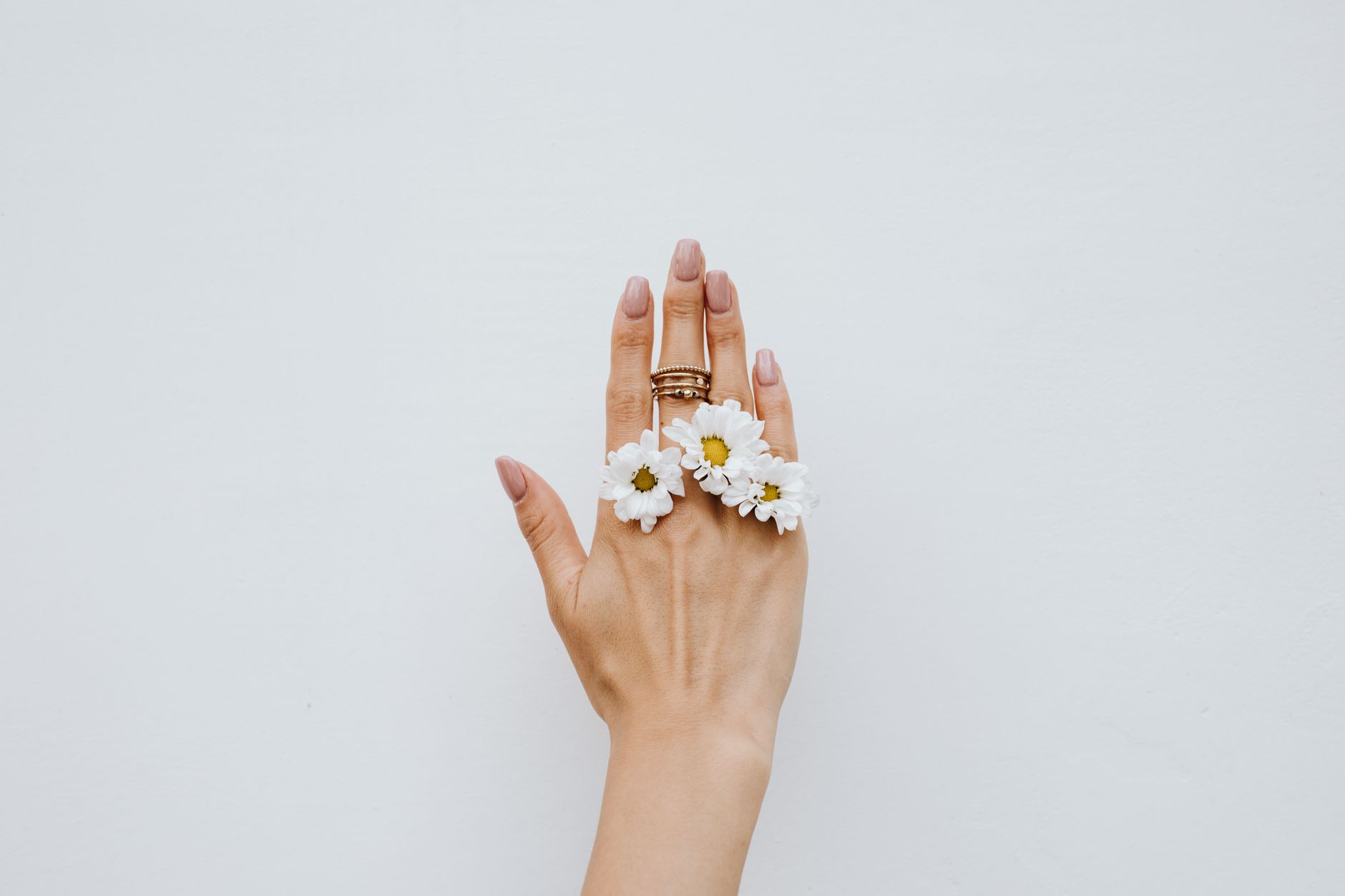 Aesthetic hand adorned with gold rings and white daisies against a minimalist white backdrop, perfect for fashion and beauty themes.