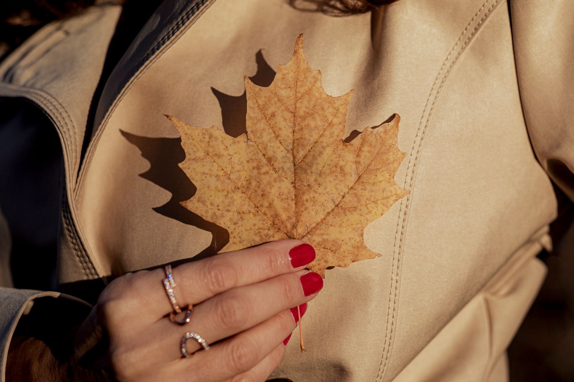 A woman holding a dried maple leaf against a tan coat. Manicured nails add a touch of elegance.