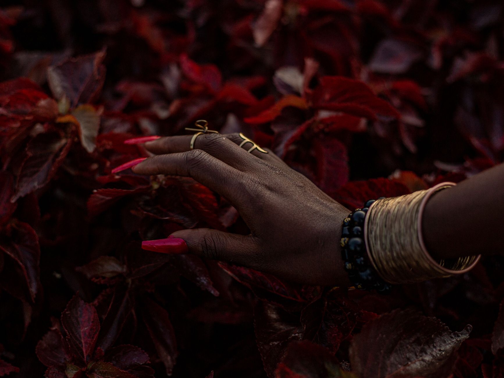 A close-up of a hand adorned with jewelry and bracelets gently touching vibrant red foliage, creating a rich atmospheric scene.
